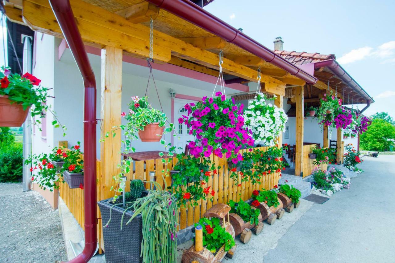 Guesthouse Ella Slunj Exteriér fotografie